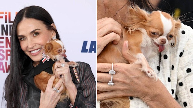 Demi Moore with Pilaf Moore at the Film Independent Spirit Awards; Demi Moore with Pilaf Moore at the Cannes Film Festival