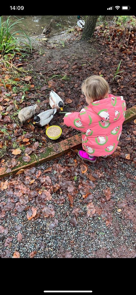 Romy Johnson feeds the ducks in her pink boots