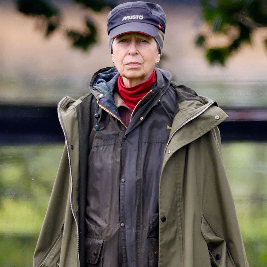 Princess Anne's 'delicate balance' that could prove a 'challenge' at home