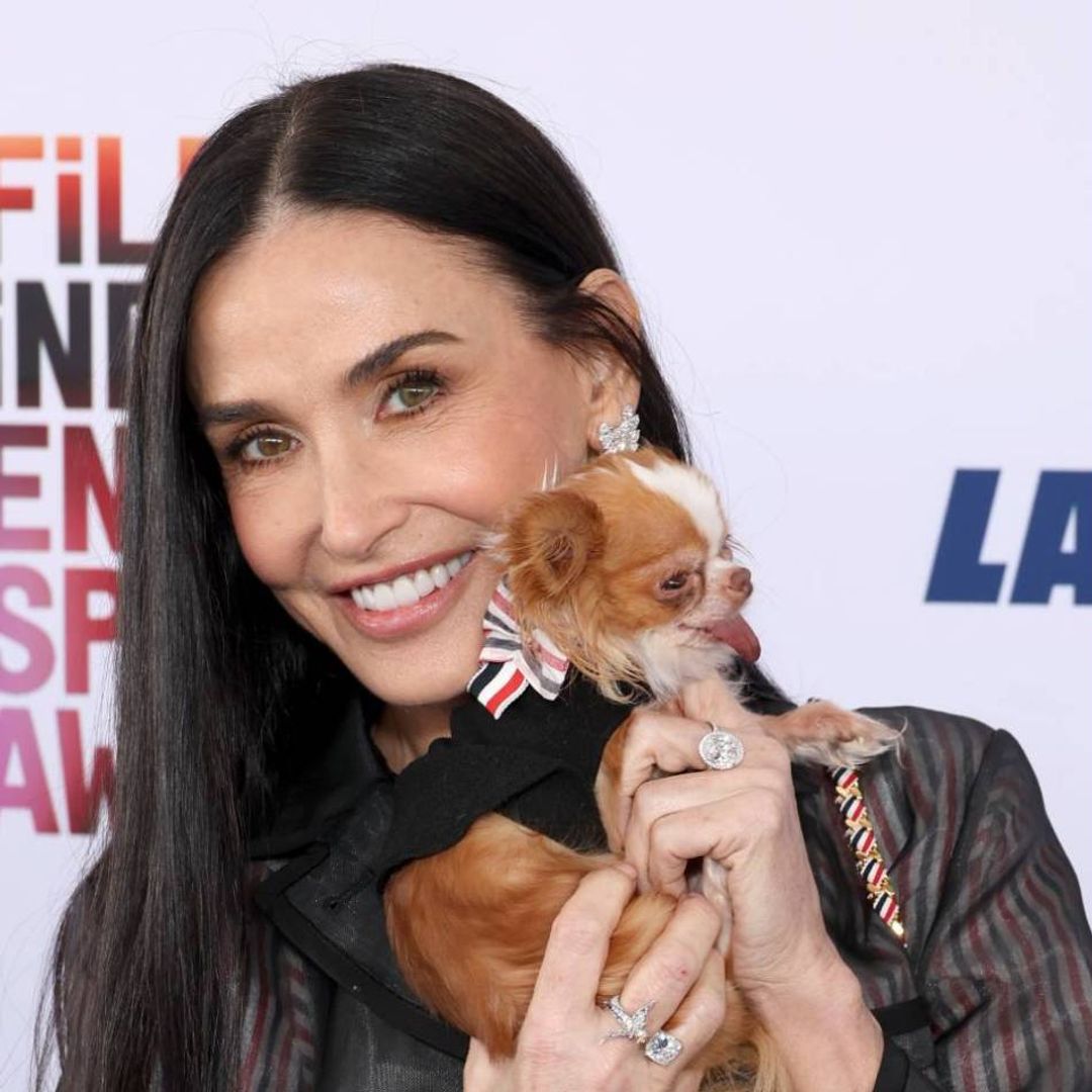 Demi Moore's tiny dog Pilaf's most star-studded moments in photos