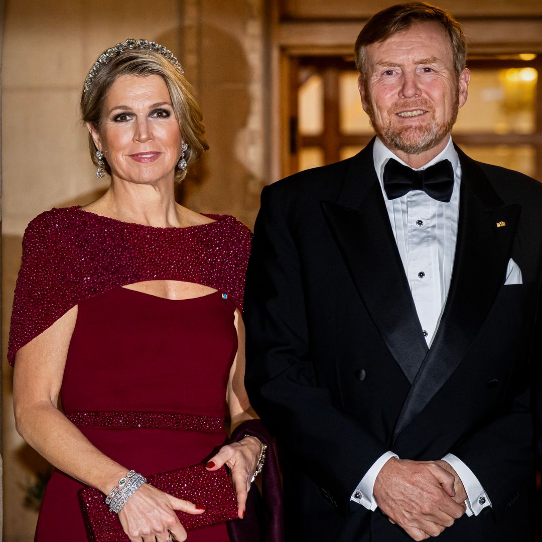 King Willem-Alexander and Queen Maxima look almost unrecognisable during latest royal engagement