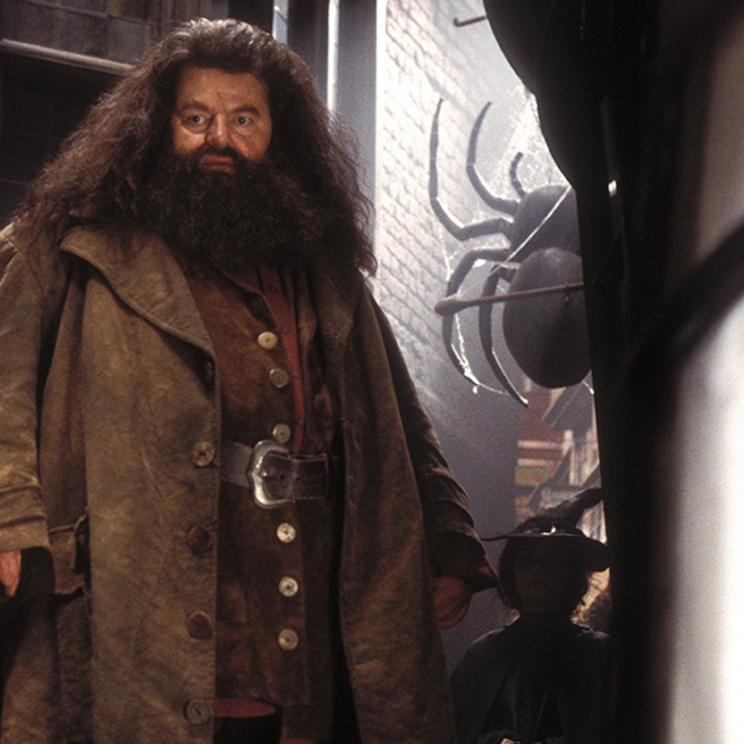 HBO's Harry Potter has found its Hagrid - and fans are thrilled