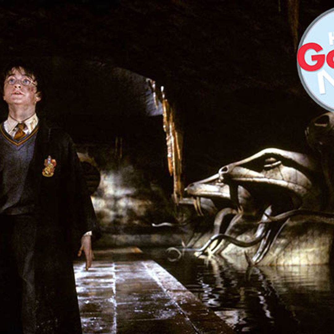Meet the new snake named after a Harry Potter character