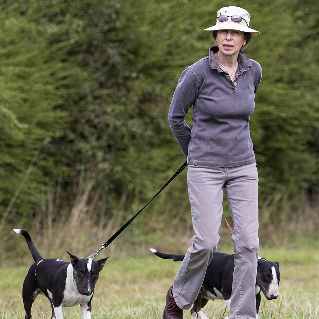 Princess Anne's disciplined morning routine at 73 is so wholesome